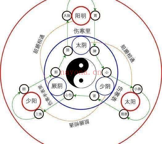 ​【董俊佐】三环一气——经络实战线上课