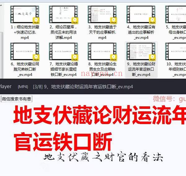 金镖门地支伏藏铁口断六亲