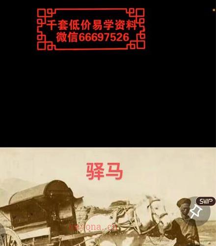 鹿早-盲派命理(绝密秘术，不可外传)视频11集百度网盘资源(盲派命理口诀)