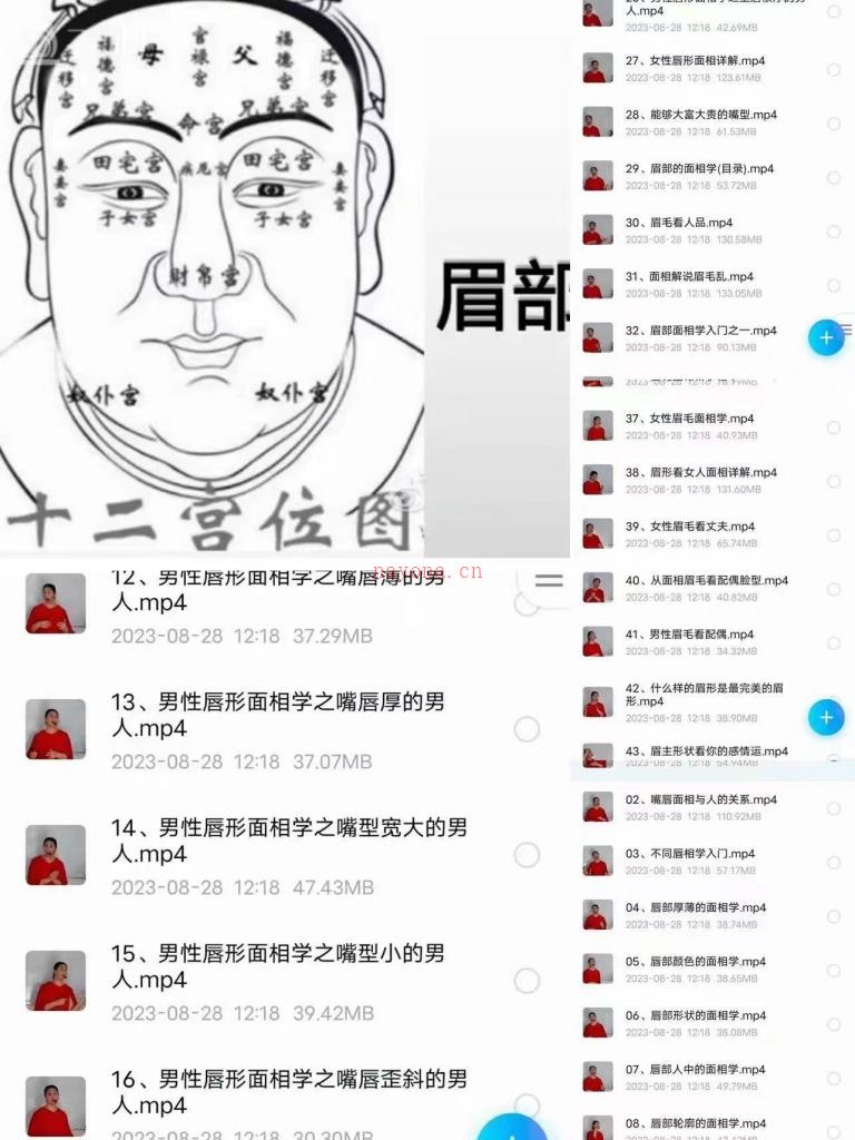 丽莎老师面相解读43集-易印教程网百度网盘资源