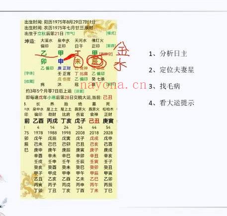 小鹿老师断结婚应期10集视频+文档(小鹿老师结婚了)