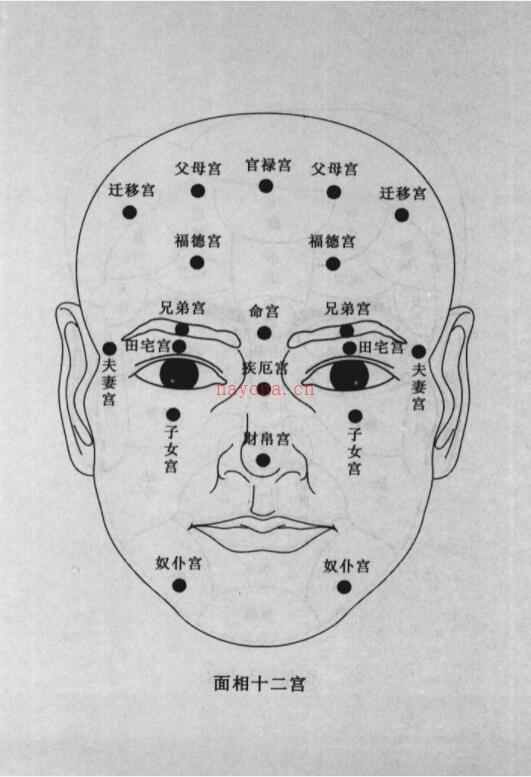 财运密码 看面相知运势