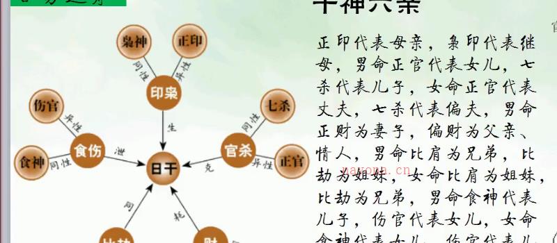 水沭青龙八字命理课程、奇门穿八字 视频68集 网盘