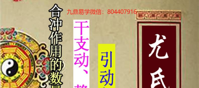 尤英华-《尤氏命理》PDF 333页 百度网盘下载 网盘