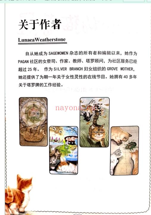 《神秘猫魅塔罗牌》中文翻译  PDF电子书下载
