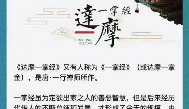 杨家鹤《达摩一掌经》视频课程21集 网盘