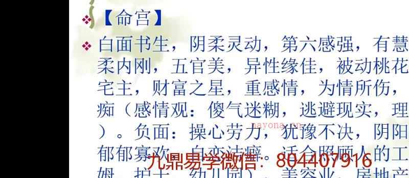 郭子谊-紫微斗数零基础到实战应用 视频48集 网盘