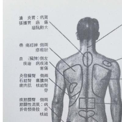 龙虎强阳绝世内功《伏虎功 》78页电子版