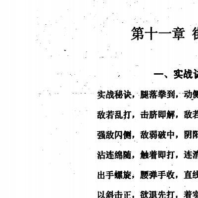 中国保镖训练教程172页电子版