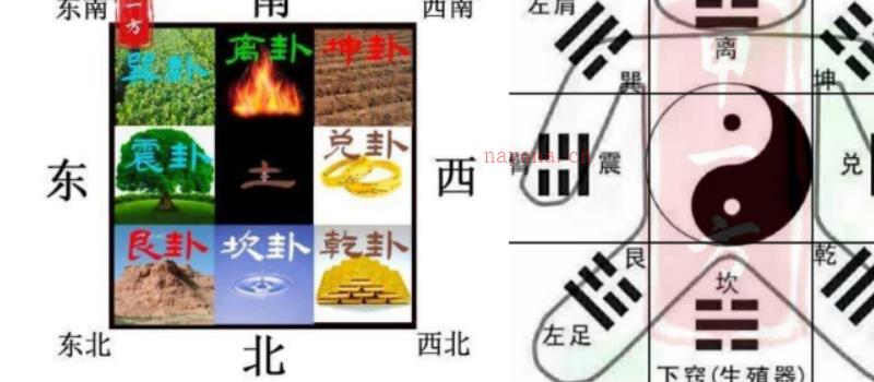 依然老师微信头像预测最新课程10集完整版网盘下载