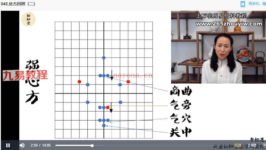 归元针李松芝腹针46集视频