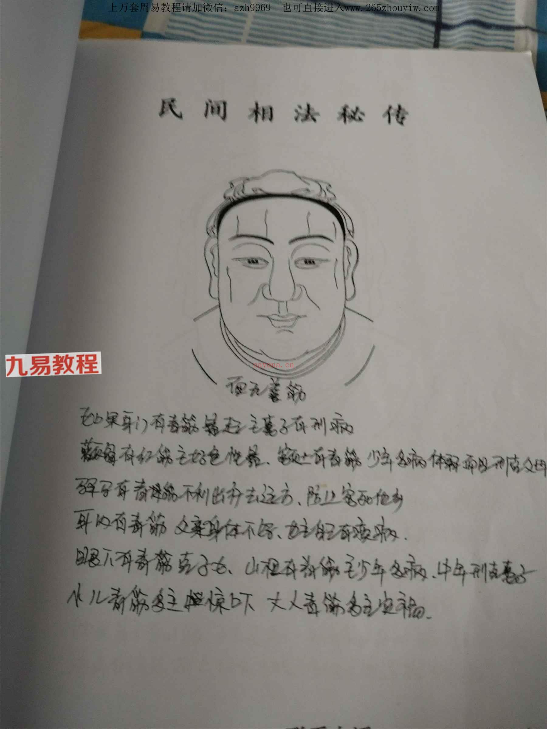 民间面相抄本《民间相法精断》.pdf 87页