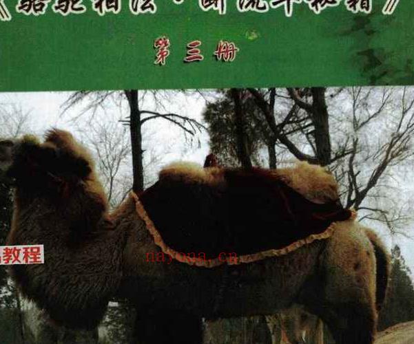 范炳檀赵文国合着 骆驼相法PDF 电子书三册