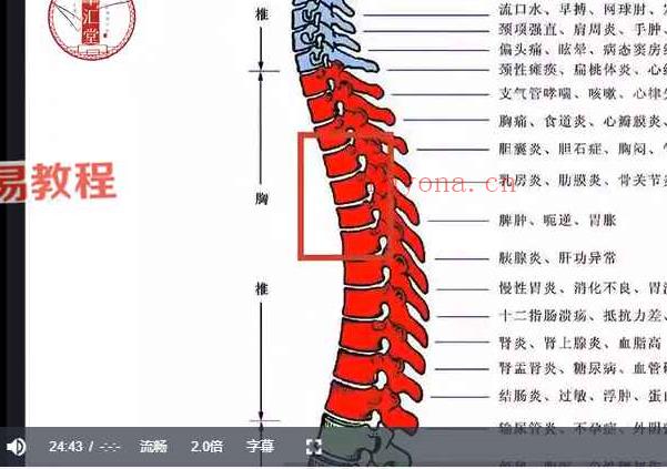 归一太极经络骨架手法班课程视频4集