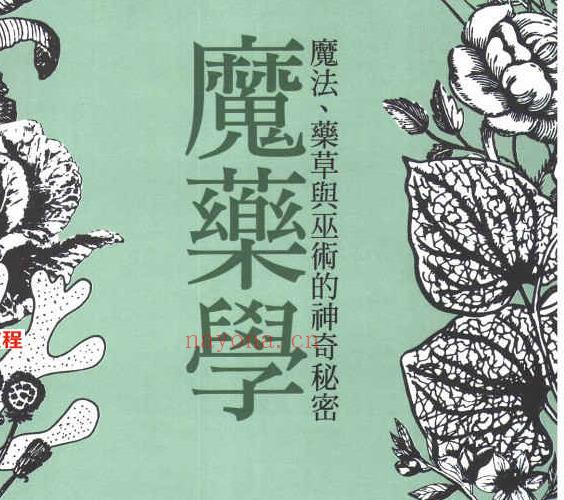 魔药学：魔法、药草与巫术的神奇秘密400页.pdf