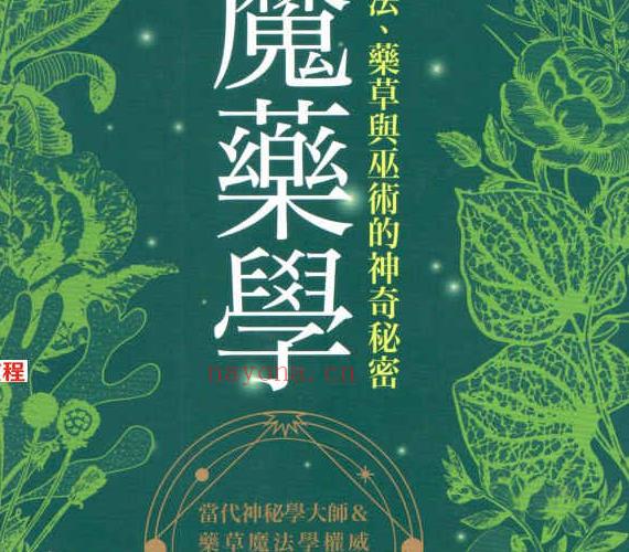 魔药学：魔法、药草与巫术的神奇秘密400页.pdf