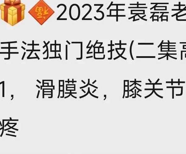 【2023年】袁磊老师纯手法13项独门绝技视频2集