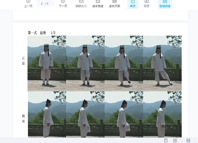 图片[3]_武当张三丰太极十三式－陈师行道长演示（视频15集）_易经玄学资料网