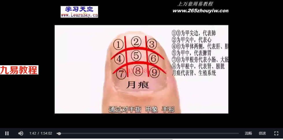 樊红杰—手诊与养生保健15集视频