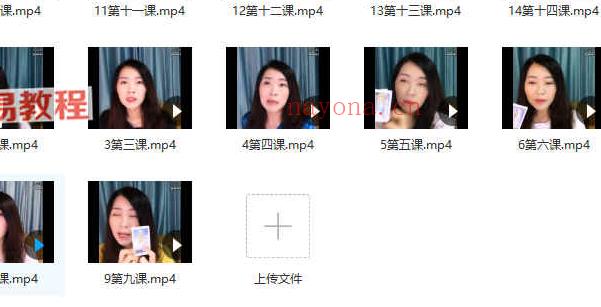 百变巫女塔罗牌课程视频14集