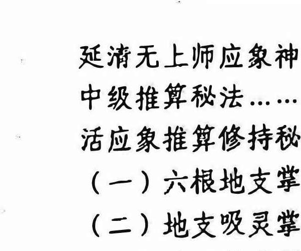 延清无上师一掌断乾坤（杨军）pdf 94页 百度云免费下载！