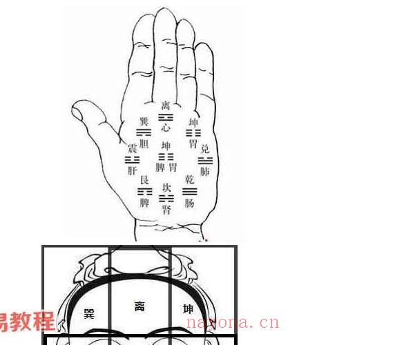 八卦派相法课程视频7集+资料pdf