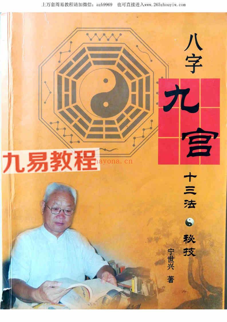 宁世兴-《八字九宫十三法 》322页pdf-高清版