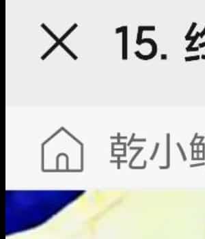 乾小鲲-面相识人课15集课程录音+图片课件插图