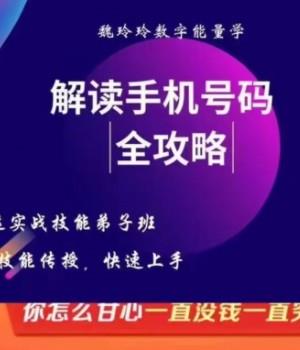 魏玲玲数字实战技能弟子班课程19集插图