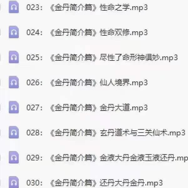 杨信玄 金丹大道 91集音频