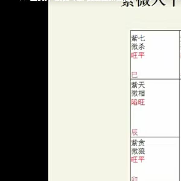 九龙道长推荐 王员外 紫微斗数课程40集视频