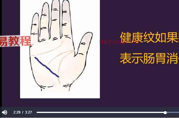 【无为子掌纹学】掌纹手木目的运势密码 视频22集