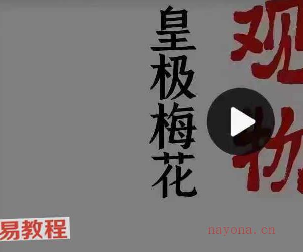 陈春林～观物｜皇极梅花精品课程视频12集