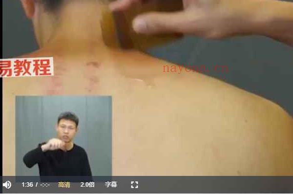 路新宇中医经络养生术生活中常见病痛调理指南视频64集 百度云