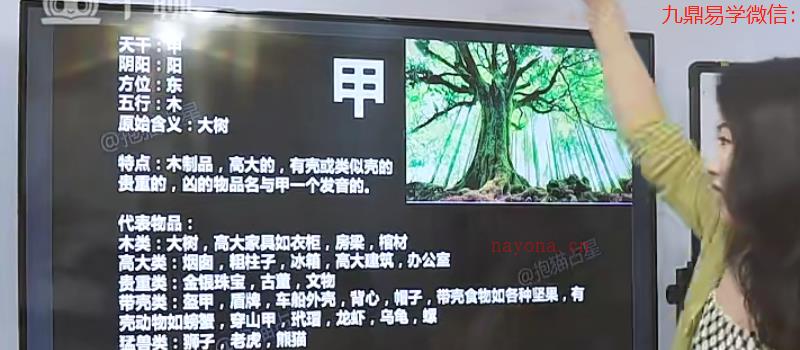 抱猫杨倩雅奇门遁甲催财术 视频12集 网盘