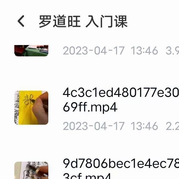 罗道旺 入门课 移动网盘下载