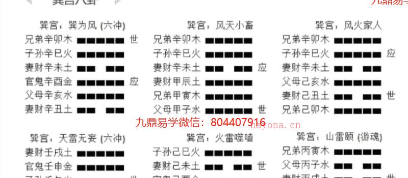 民间六爻实战高手张老师 六爻基础入门课程 视频20集 网盘