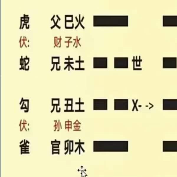 九龙道长弟子班善炎老师 六爻预测视频课程6集