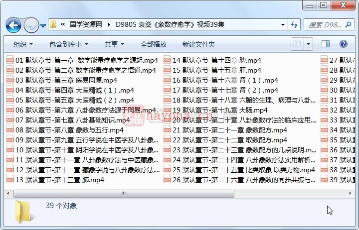 袁燊《象数疗愈学》视频39集