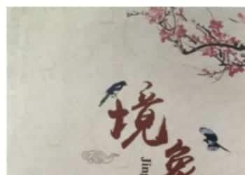 陈春林-镜像风水(高清）.pdf 最新案例 电子版资源 百度云网盘下载！插图1