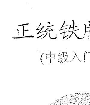 陈鼎龙-正统铁版神数中级入门教材.pdf插图