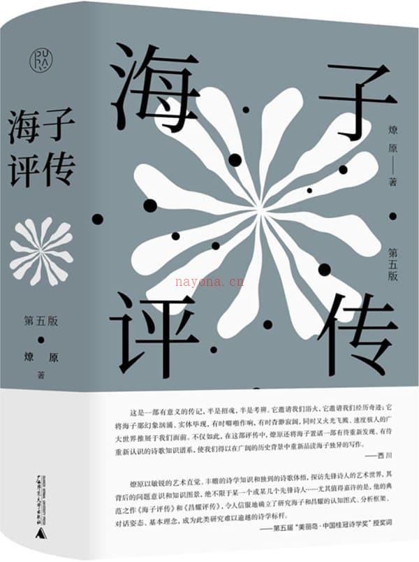 《纯粹向度 海子评传（第五版）》封面图片