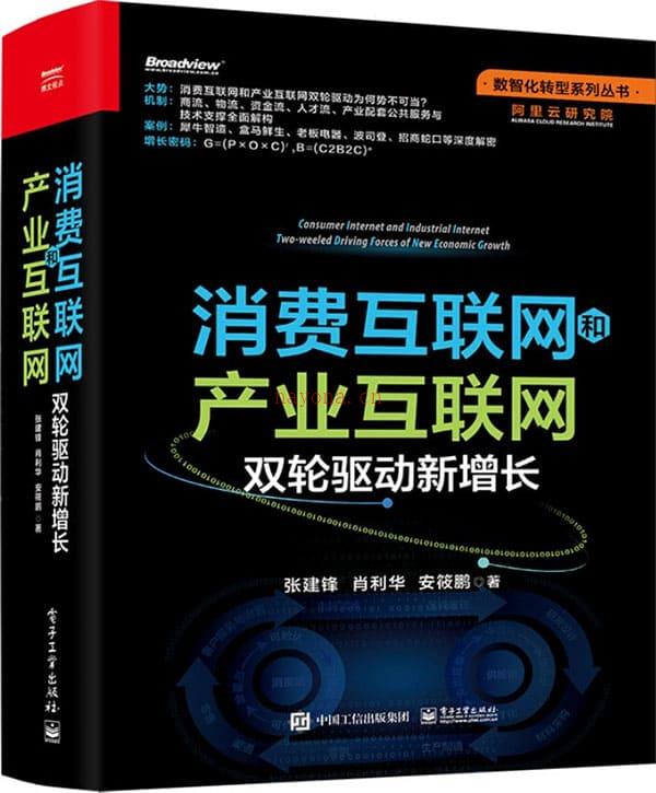 《消费互联网和产业互联网：双轮驱动新增长》封面图片