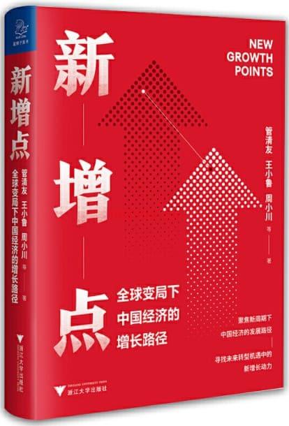 《新增点：全球变局下中国经济的增长路径》封面图片