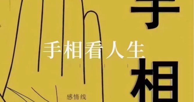 姜鲁宜《手相大师班》视频30节 网盘