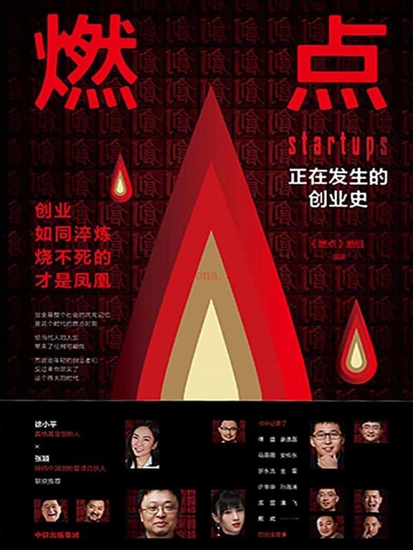 《燃点：正在发生的创业史,燃点》封面图片