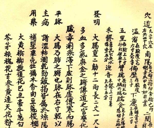 《经络图说》 (经络图动画演示)