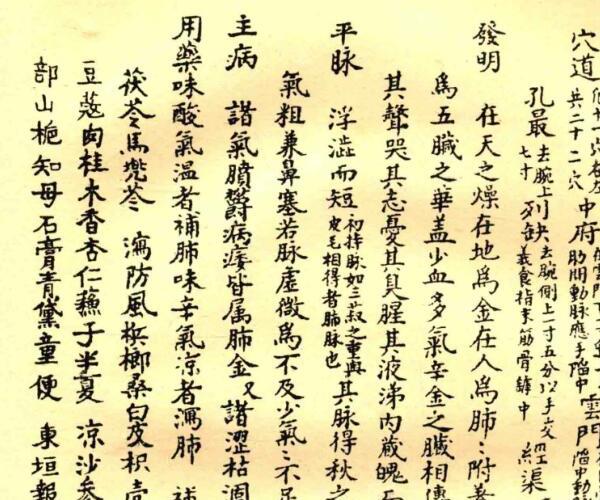 《经络图说》 (经络图动画演示)