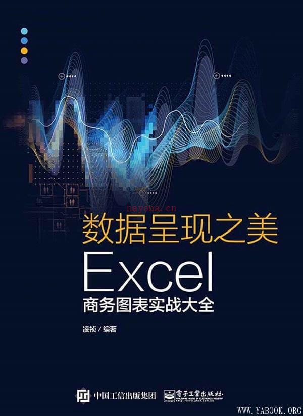 《数据呈现之美：Excel商务图表实战大全》封面图片