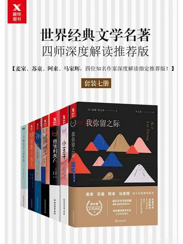 《世界经典文学名着四师深度解读推荐版（套装七册）》封面图片